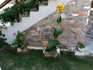 Vonkajšia záhrada v ubytovaní Petrino1880 sea-vacation apartment in Chalkidiki