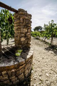 Zahrada ubytování Finca Rural Son Rabassa