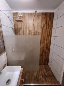 a bathroom with a sink and a shower at Colfly Studios in Braşov +14 photos