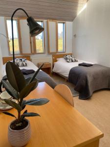Hótel Skálholt في Skálholt: غرفة بسريرين وطاولة بها نبات