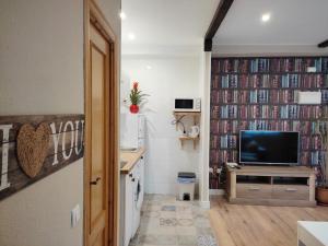 TV a/nebo společenská místnost v ubytování Acogedor Apartamento Centro Historico