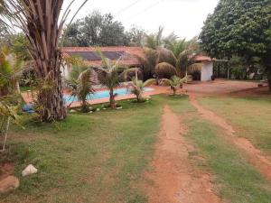 a dirt road in front of a house with palm trees at Chácara São Francisco in Olímpia