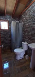 a bathroom with a toilet and a sink at Cabañas leumo in Manzanar