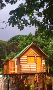 貝倫的住宿－Pousada AldeiA Cotijuba，一间小木小屋,有树