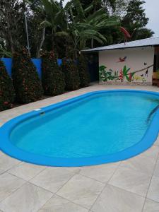 a large blue swimming pool in a yard at Puerto Vargas lodge in Cahuita