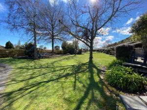 a shadow of a tree on a lawn at Motuoapa Bay Chalets in Turangi