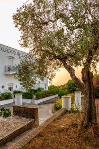 a tree and stairs in front of a building at Hotel Bellavista in Anacapri