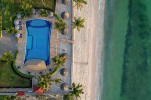 - une vue sur la plage et l'océan dans l'établissement Sunny Palms Beach Bungalows, à Uroa