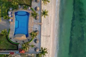 an overhead view of the beach and the ocean at Sunny Palms Beach Bungalows in Uroa