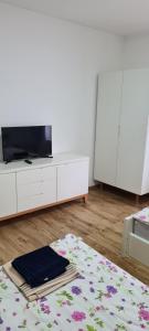 TV a/nebo společenská místnost v ubytování Elena Haus