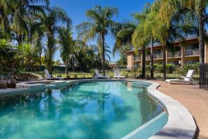 a swimming pool in front of a hotel with palm trees at Charbonnier Motor Inn in Singleton