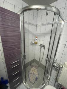 una ducha en un baño con inodoro en Apartman Cici, en Zlatibor 34 fotos más