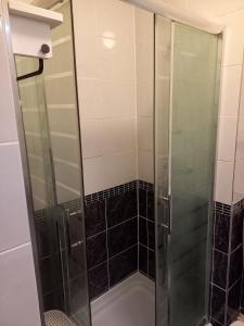 a shower with a glass door in a bathroom at Apartman Bruna in Zagreb