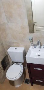 a bathroom with a white toilet and a sink at Apart del Centro 01 cochera opcional in Santa Fe +18 photos