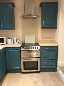 a kitchen with blue cabinets and a stove top oven at 6 Eyre Square Lane in Galway