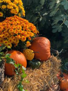 a bunch of pumpkins sitting on hay with flowers at The Houses of History - anno 1830 in Tihany