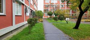 ワルシャワにあるApartment Sigismondo Zoliborzの木の隣の赤い建物の横の歩道