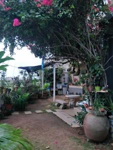 Giardino di 豪鵬遊民宿2館