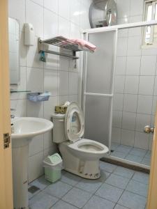 un bagno bianco con un water e un lavandino di 豪鵬遊民宿2館 a Jincheng