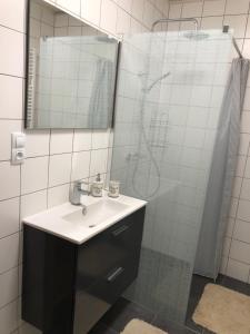 Koupelna v ubytování Apartmán DUO Plešivec