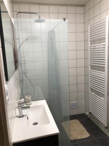 Koupelna v ubytování Apartmán DUO Plešivec