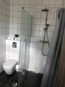 Koupelna v ubytování Apartmán DUO Plešivec