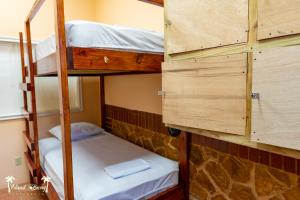 Tempat tidur susun dalam kamar di Yellow Belly Backpackers