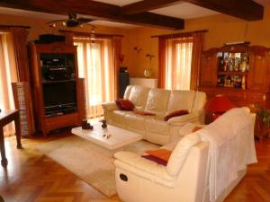 Uma área de estar em 5 bedrooms house with private pool sauna and enclosed garden at Theux