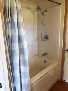a bathroom with a shower and a bath tub at Stunning Views, Prime Location in Hamilton