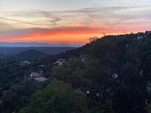 Príroda v okolí vily