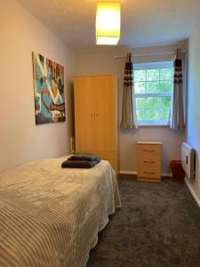 Nice entire 2 Bedroom Apt in City Centre, free parking, Wifi, Netflix