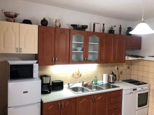 Kuchyň nebo kuchyňský kout v ubytování Apartments Mirror