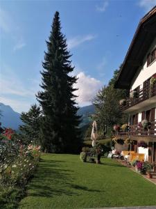 a green yard with a pine tree next to a building at Ferienhaus Dr. Schorm in Schruns