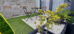 Jardín al aire libre en Boavista Class Inn