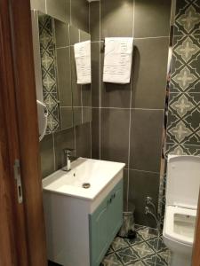 伊斯坦堡的住宿－ÜSKÜDAR OTEL，一间带水槽和卫生间的浴室
