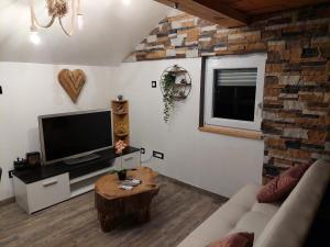 salon z kanapą i telewizorem w obiekcie Apartment Mastnak w mieście Laško