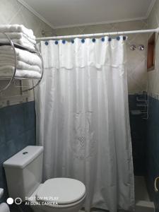 ein Badezimmer mit einem weißen Duschvorhang und einem WC in der Unterkunft Apart Ruta 40 in El Chalten
