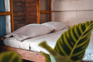 Una cama con sábanas blancas y una planta en una habitación en Hostal Los Chamos en San Juan del Sur