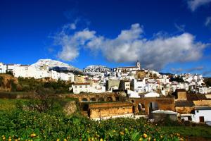 Yunquera的住宿－Casa Rural Sierra de las Nieves，相簿中的一張相片