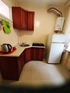 eine kleine Küche mit einem weißen Kühlschrank und einer Spüle in der Unterkunft Эконом вариант - квартира в центре из первых рук in Tschernihiw