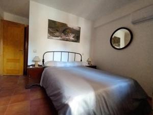 a bedroom with a large bed and a mirror at La Tijera in Candeleda