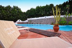 a swimming pool with a chair and a vase with a plant at Gattopardo Park Hotel in Lipari