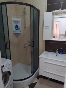 ein Bad mit einer Dusche, einem WC und einem Waschbecken in der Unterkunft Apartman Tea in Kupres