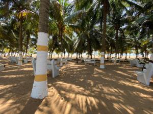 a park with white benches and palm trees on the beach at Hôtel Sancta Maria in Lomé