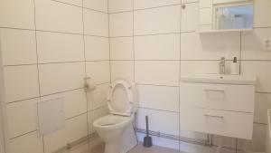 a white bathroom with a toilet and a sink at SJÖTORPS HOSTEL in Sjötorp
