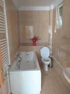 a bathroom with a tub and a toilet and a sink at MIRAJ in Azuga