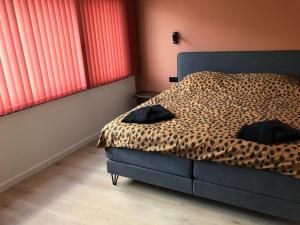 a bedroom with a leopard print bed and windows at ROS'a tourist & business appartment in Dendermonde