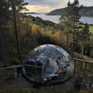 Sørfjorden Eye Iglo - Fosen في Husby: خيمة على طاولة مطلة على البحيرة