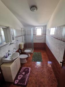 ein Badezimmer mit Waschbecken, Toilette und Dusche in der Unterkunft Villa Dorina in Štinjan