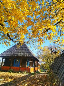 Gallery image of Complex Tradițional Casa din Vale Breb in Breb +37 photos